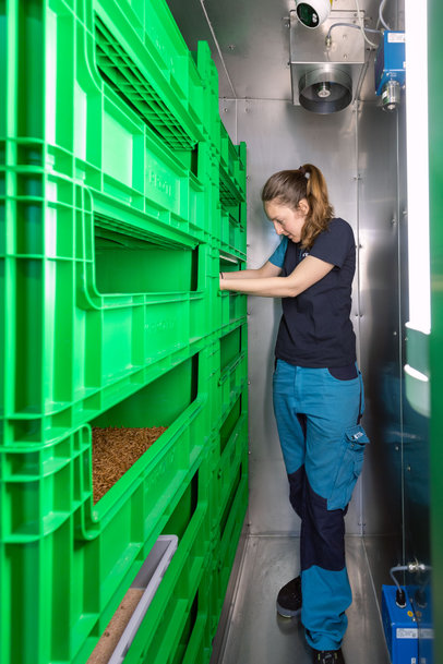 Bühler opens Insect Technology Center to support customers in the feed and food industries